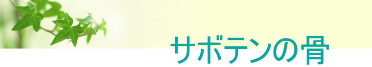 ヘッダーイメージ